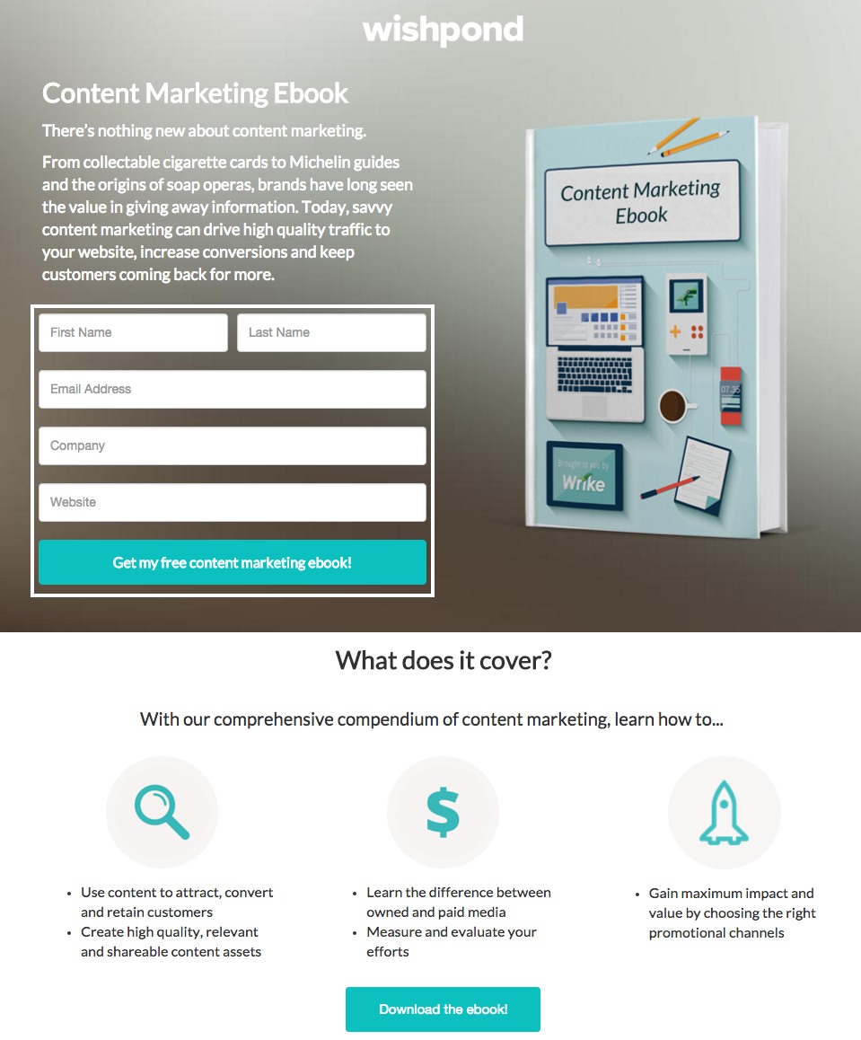 5 Opt in Page Examples That Work and 1 That Doesn t 