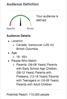 facebook ad audience example