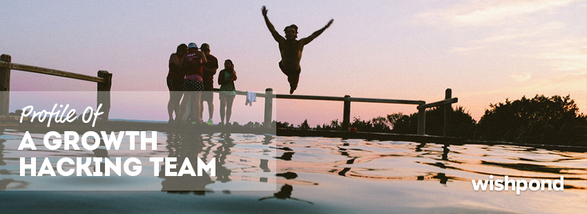 Profile of a Growth Hacking Team