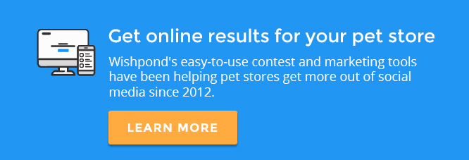 Marketing Strategy for Pet Shops, pet shop 