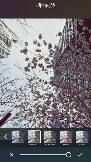 instagram marketing software